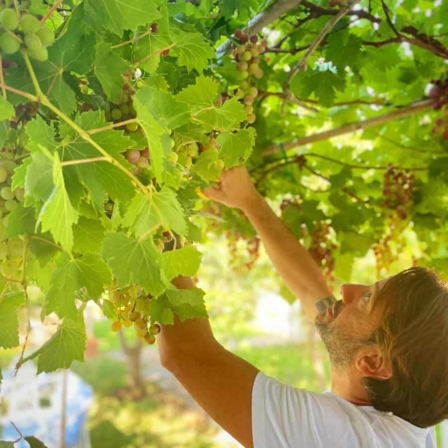 Masseria Vittoria Acaya Kültér fotó