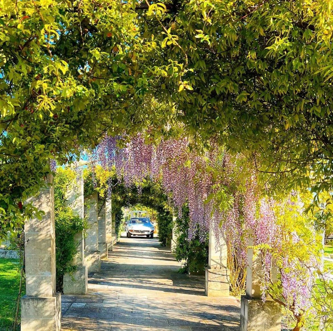 Masseria Vittoria Acaya Kültér fotó